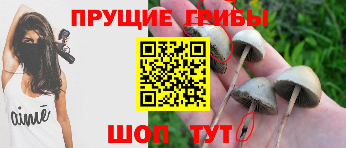 Галлюциногенные грибы Psilocybine cubensis  Вход с VPN  Городец  Галлюциногенные грибы MAGIC MUSHROOMS 